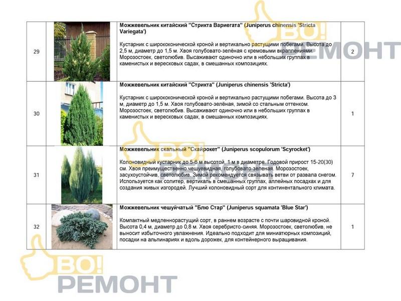 Проект благоустройства территории-102
